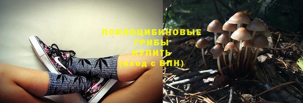 Альфа ПВП Волосово
