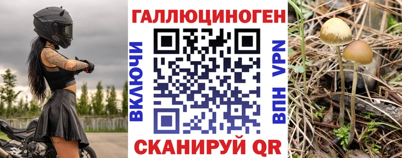 Галлюциногенные грибы Psilocybe Лермонтов